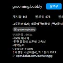 그루밍 버블리 이미지