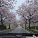 [태안 글램핑]&#39;우림관광농원&#39; 후기!!