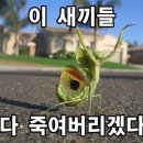 파워스포츠센터 이미지