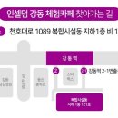 천호인셀덤