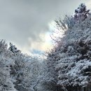 너릿재구도로 이미지