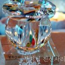 정골 이미지