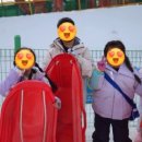 국가대표용인대박사태권도장 이미지