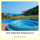 곰섬파라다이스2 이미지