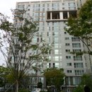 시청로1 이미지