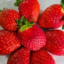 부송365의원 이미지