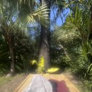 사우나(sauna) | 치앙마이 사우나 The Cocoon Sauna &amp; Ice bath | 가격·시설·한줄평 | 이색 야외사우나 체험