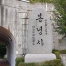 여우길 이미지