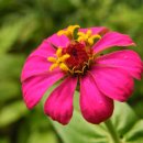 양수리 두물머리길 이미지