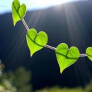 유정한의원 이미지