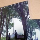 주)케이시 | 모더니즘 건축이 단절된 상처를 위로하는 마법 같은 순간.._코고나다 <콜럼버스 Columbus>