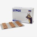 라이펙스 이미지