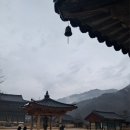 새순천만회센터 | 속리산⛰️문장대(화북탐방센터~법주사탐방센터)