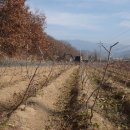 신덕목장 이미지