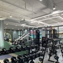 스트롱거 짐 이미지