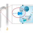 주식회사 정진 이미지