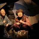 식구를 찾아서 이미지