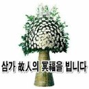 서현로180번길 이미지