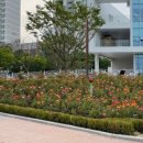 정관아쿠아드림파크수영장 이미지