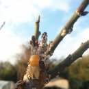 우리원예클리닉 이미지