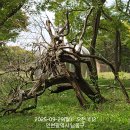 한양당구장 이미지