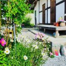 깨비네집 이미지