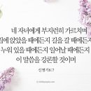 영미네집