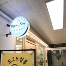 도그드살롱 이미지