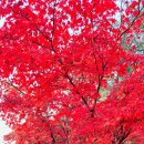 보발재 정상 주차장 이미지