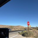 유카센타 | LA 여행 조슈아트리 국립공원 코스 추천 렌트카 자유여행