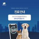 24시 코끼리동물의료센터 이미지