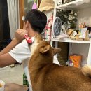 우리들의월정리 이미지