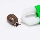 오뜨동물의료센터 이미지