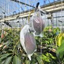 한백농장 이미지