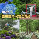 양산그레이스골프클럽주 | 올여름 경남 수국명소 여기는 꼭가야해 베스트 4
