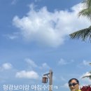 팔미마트