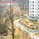 세곡공인중개사사무소 이미지