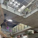 [방콕한달살이] 방콕의 쌈지길? 청년시장몰? 통로 더<b>커먼스</b> (The Commons) 후기 & Roast coffee & eatery