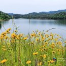 별천지가든 이미지