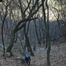 버스정류장 05-174 | [강촌] 한국의 100대 명산 신선이 노닐던 등선8경이 있는 삼악산