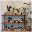 엄마꽃집 이미지