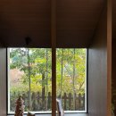 포레스트피부과의원 | 분당스파마사지 효스파 - 연말 힐링장소 추천!