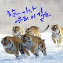 주식회사 위로 이미지