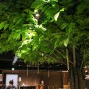 월드타운 이미지