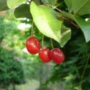 일구농장 이미지