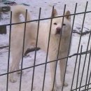 제이씨어린이집 이미지