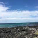 애월공하우스민박 이미지