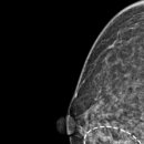 강남아름다운유외과의원 이미지