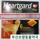 부산초량동물약국 이미지