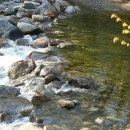 무주 해바라기 펜션 호스텔 이미지